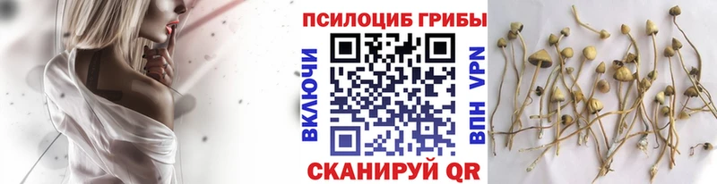 Галлюциногенные грибы MAGIC MUSHROOMS Вятские Поляны
