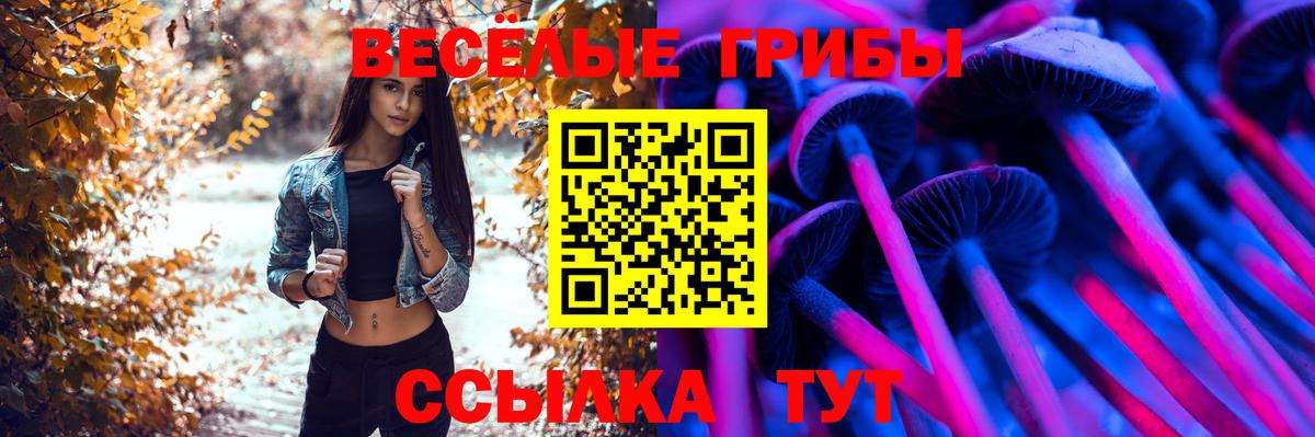 Вятские Поляны  Галлюциногенные грибы Psilocybine cubensis  Вход с VPN 